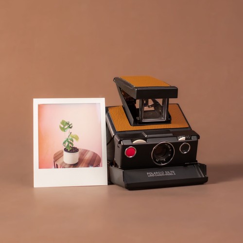 Polaroid model - sx-70, 3